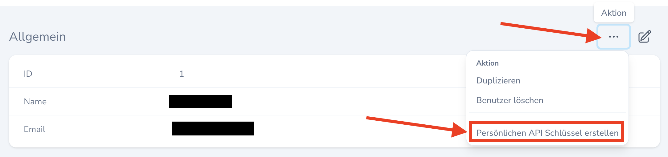 Aktion Persönlinen API Schlüssel erstellen